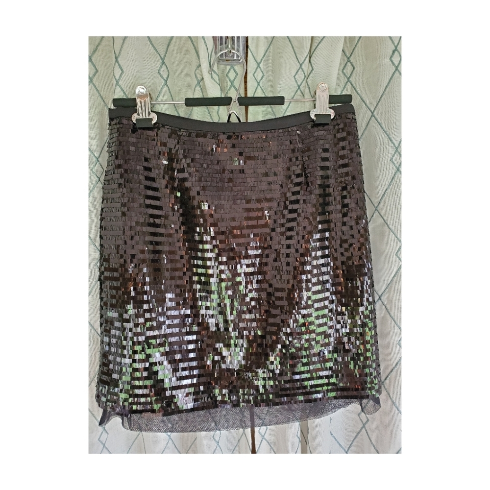 Black Sequined Skirt